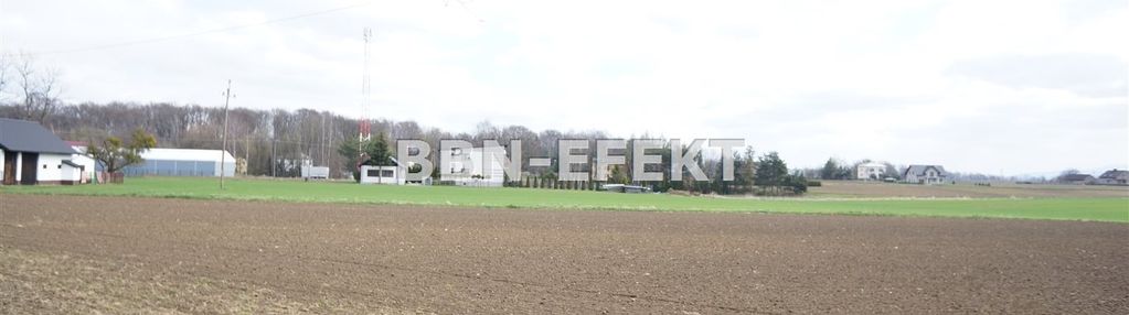 Pruchna - duża działka budowlana