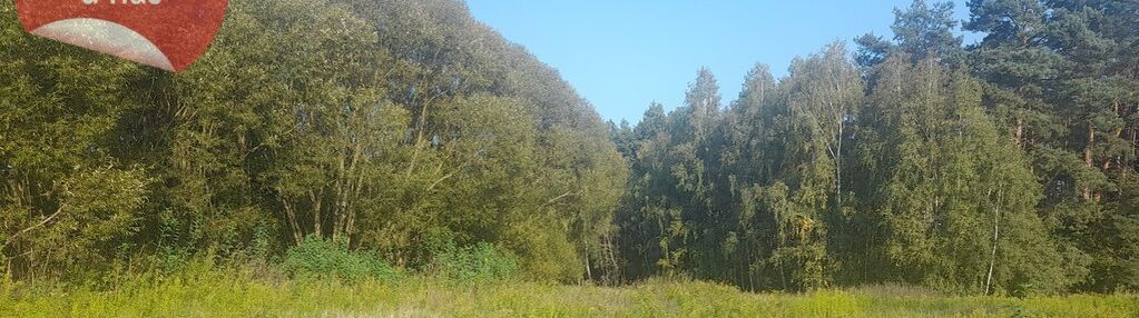 Działka budowlana w brzeźnie 1200m2