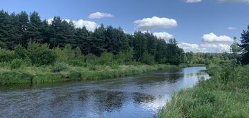 Sosnowy azyl - twój prywatny las i nowoczesny dom