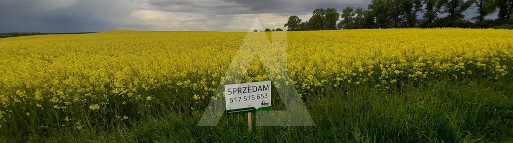 Działka w trzemiętowie 1625 mkw warunki zabudowy