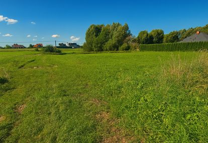 Wyjątkowa działka 1552 m² – szałkowo k. iławy