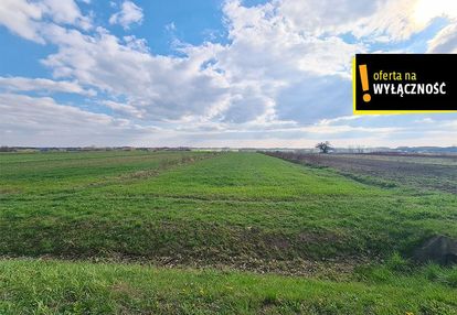 Działka 10 800m2 łubnice w otoczeniu pól, obok las
