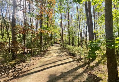 Działka 2581m2 dom 100m2 w lesie