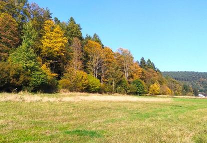 Śnietnica, gm. uście gorlickie - działka budowlana