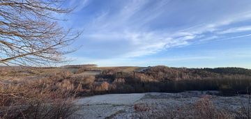 Miejsce, w którym nikt cię nie znajdzie - twój las