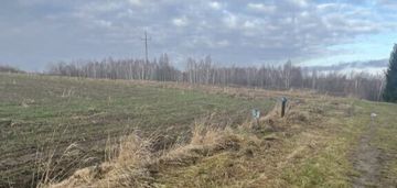 Piękna działka w pobliżu kazimierza dolnego