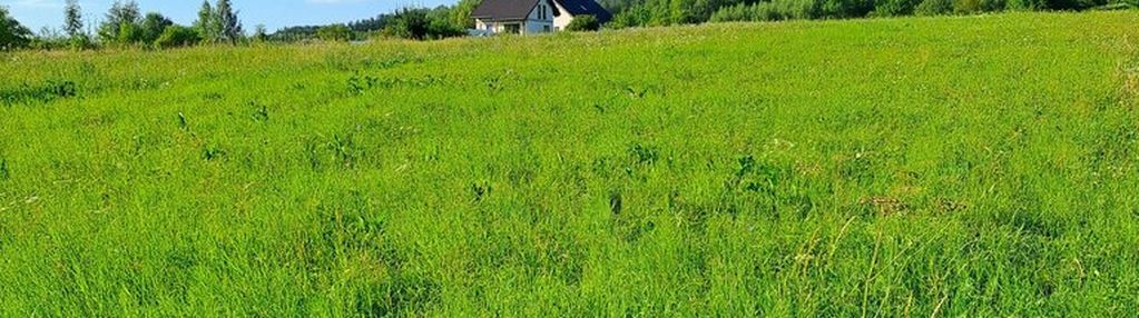 Działka budowlana w pisarowcach