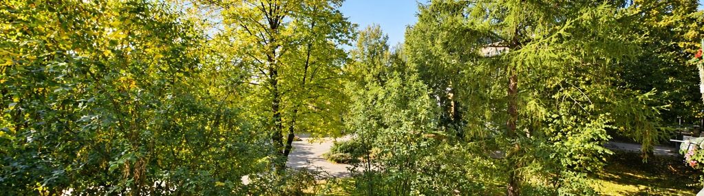 4 pokoje z widokiem na drzewa! politechnika 1km