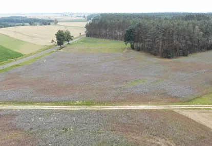 Działka na sprzedaż 1000m2