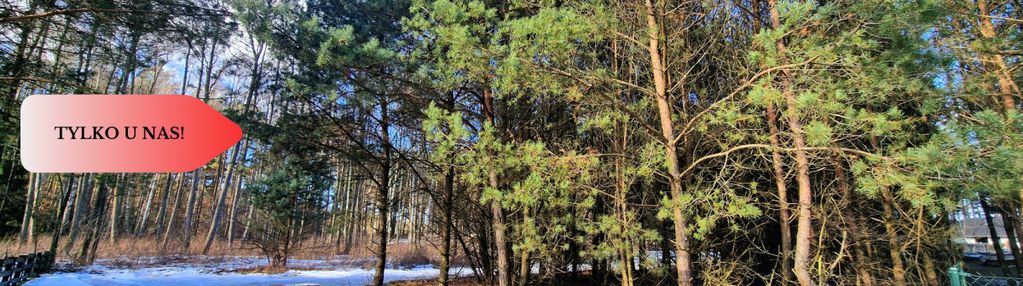 Zamieszkaj w sercu borów! tleń! jezioro! mpzp