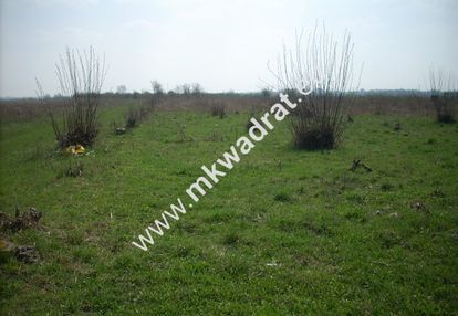 Duża działka , dobra cena !