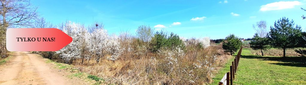 Morzewiec 3260m2, wydane wz, cisza, spokój