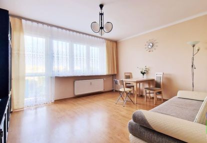 Widzew-wschód - do wynajęcia m3 ul. smetany