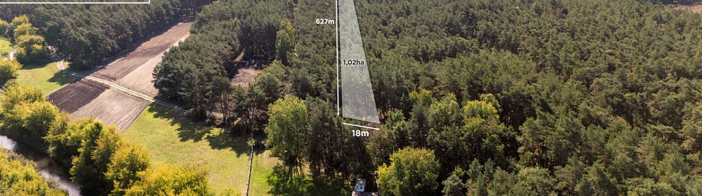 Na sprzedaż hektar działki leśnej