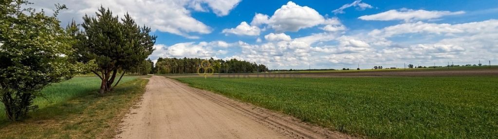 Spokojna okolica | wz | 5600 m²