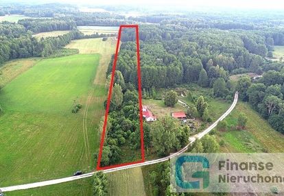Działka pod zabudowę z lasem, byliny nowe