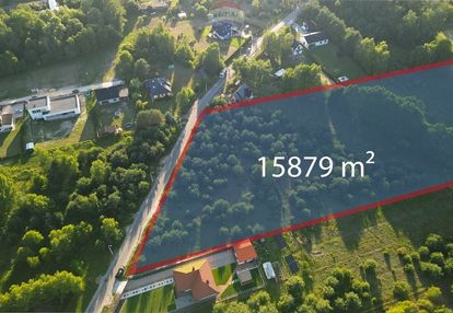 Duża działka 1,5 ha pod dom lub stadninę jadwinin