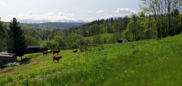 Działka budowlana ratułów