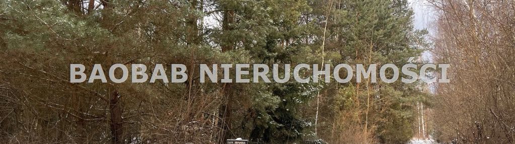 Grabce towarzystwo 1,8 ha przy suntago z wz