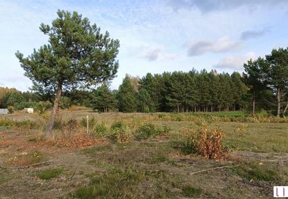 Tylko u nas! działka, godzimierz