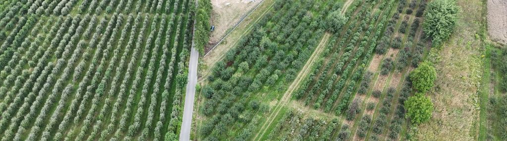 Działka budowlana dębówka - 1km od lublina