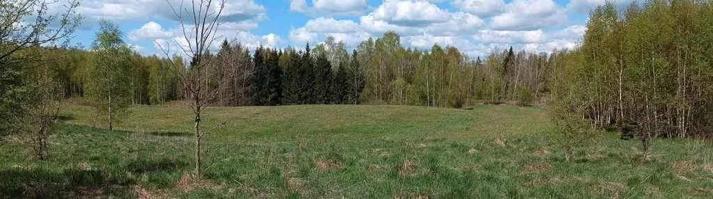 Działka na sprzedaż 1700m2