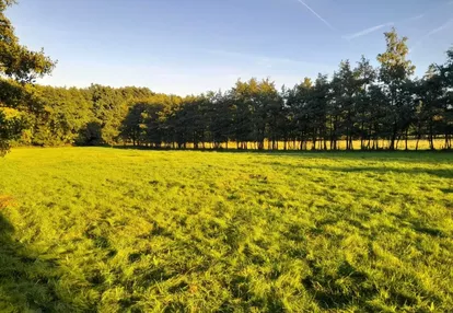 Działka na sprzedaż 1700m2