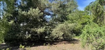 Działka budowlana blisko jeziora zegrzyńskiego