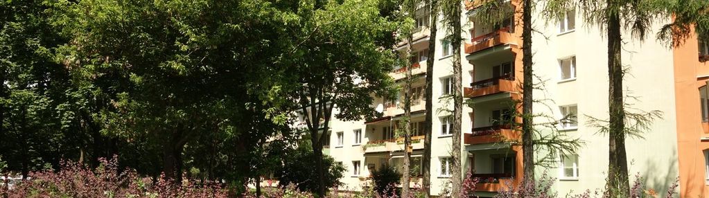 4 pokoje na 1 piętrze w dz. czechów dolny