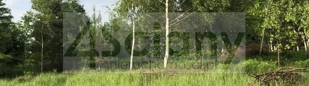 Działka w adamowiźnie