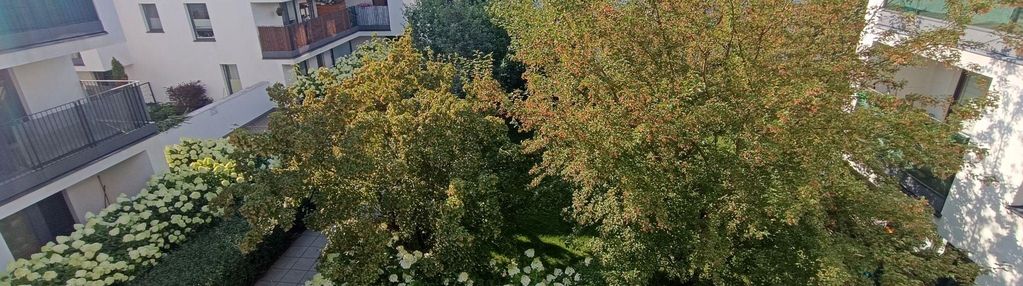Duże 2pok. na osiedlu klasyków. oddzielna kuchnia