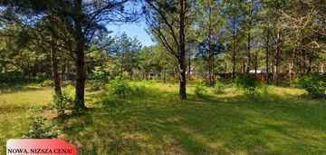 Działka 1139 m² | kameralny zagajnik!!
