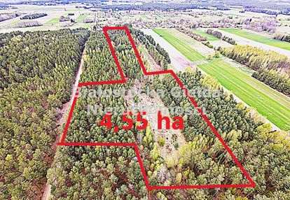 Działka 4,55ha//warunki zabudowy//las
