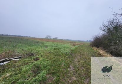 Warzymice / działki po 3000 m2