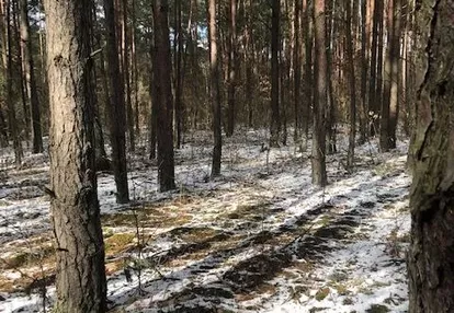 Działka na sprzedaż 1600m2