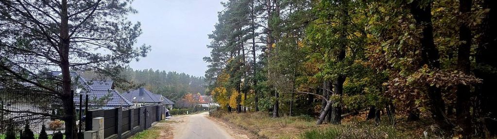 Komplet mediów, pod lasem, płaska! koleczkowo!