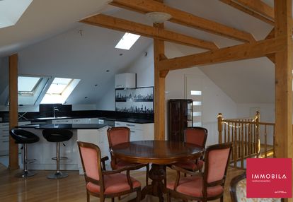 Dom z funkcją mieszkalną + apartamenty i pokoje