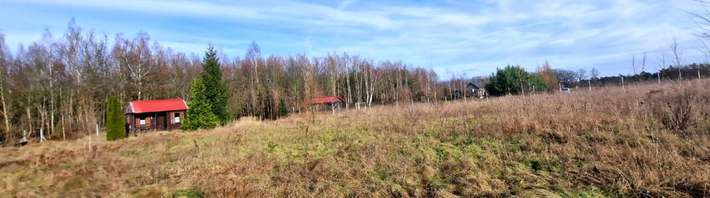 Wymarzone miejsce na dom z widokiem na las!