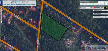 Siedlce, ul. grzybowa