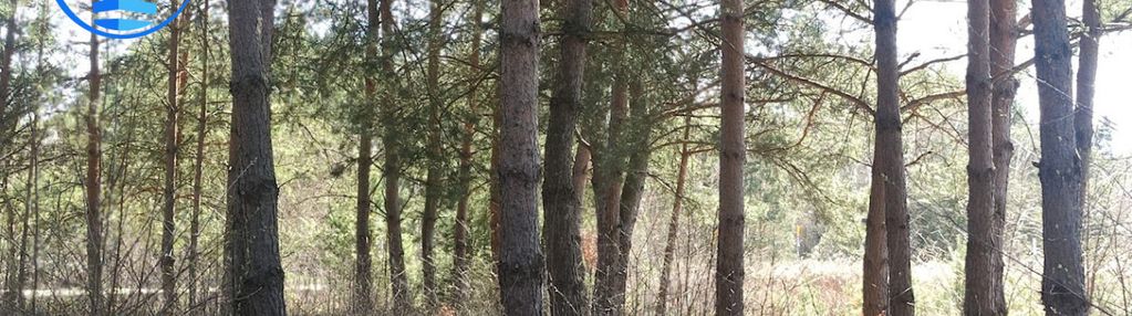 Działka budowlana przy lesie nowy prażmów 1600 m2