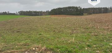 Działki mieszkaniowe-borowiec k.lipusza // kaszuby