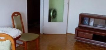 2-pokojowe mieszkanie na pradze południe