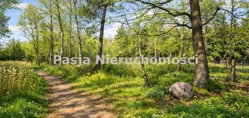 Dziaki w białobrzegach w atrakcyjnej cenie