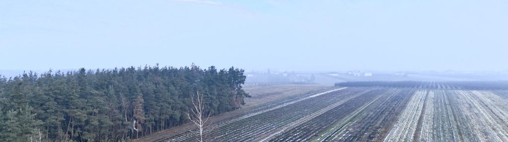 Cztery atrakcyjne działki w białej rawskiej