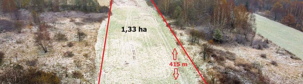 Brzezówka 1,33 ha