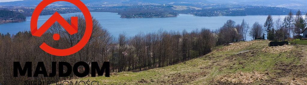 Widok na jezioro i sąsiedztwo lasu