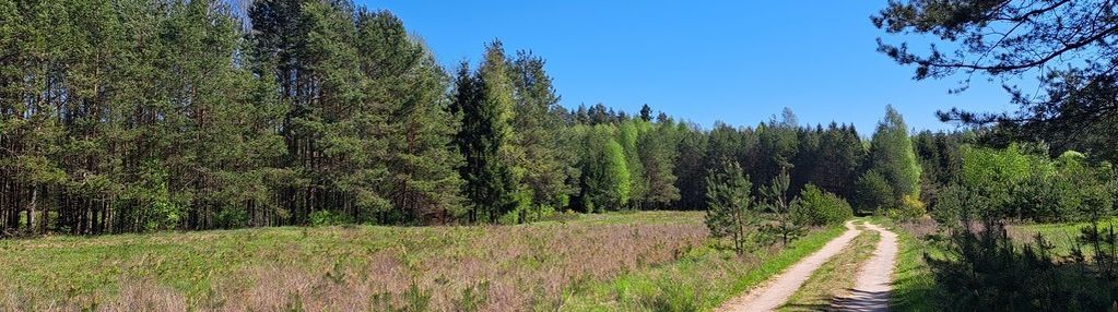 Działka budowlana, mołowiste, jezioro serwy