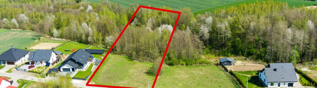 Działka z  prywatnym lasem w burzynie, gm. tuchów!