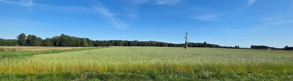 Działka budowlana - majaczewice, gm. burzenin