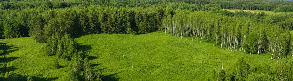 Przy lesie | 70 m od drogi powiatowej